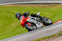 PJ-Motorsport-Photography-2020;anglesey;brands-hatch;cadwell-park;croft;donington-park;enduro-digital-images;event-digital-images;eventdigitalimages;mallory;no-limits;oulton-park;peter-wileman-photography;racing-digital-images;silverstone;snetterton;trackday-digital-images;trackday-photos;vmcc-banbury-run;welsh-2-day-enduro